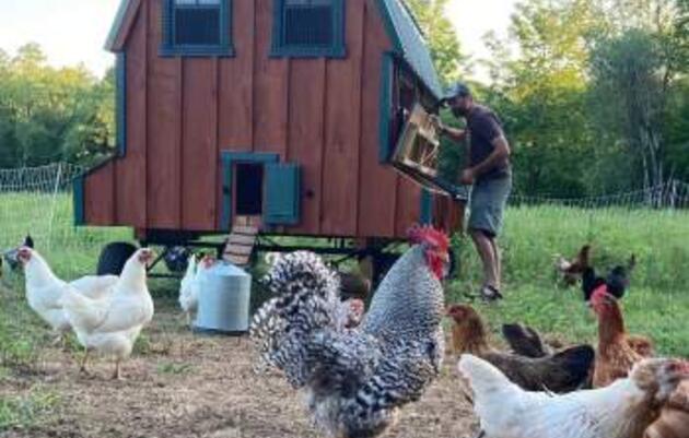 Steve Hagenbuch Manages the Forests for the Birds
