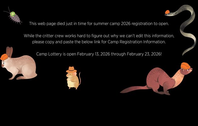 Summer Day Camps