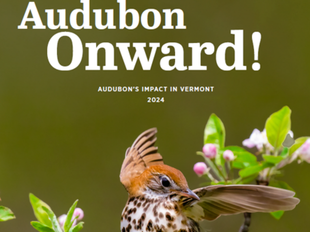 Audubon Onward!