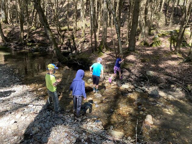 Late Spring Brook Exploration