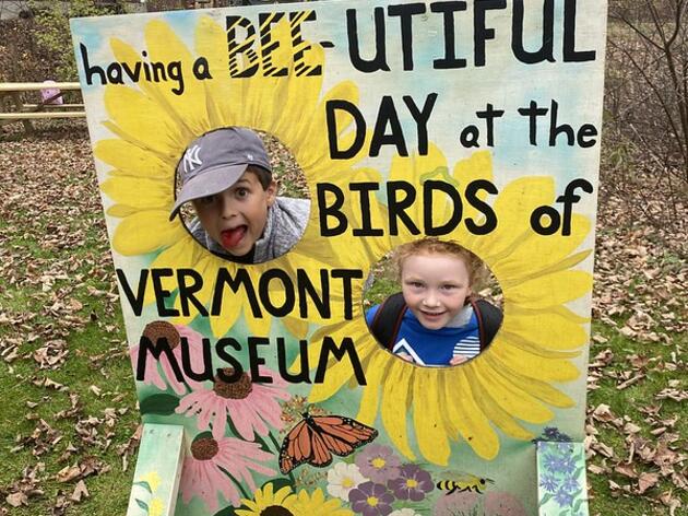 Birds of Vermont Museum 