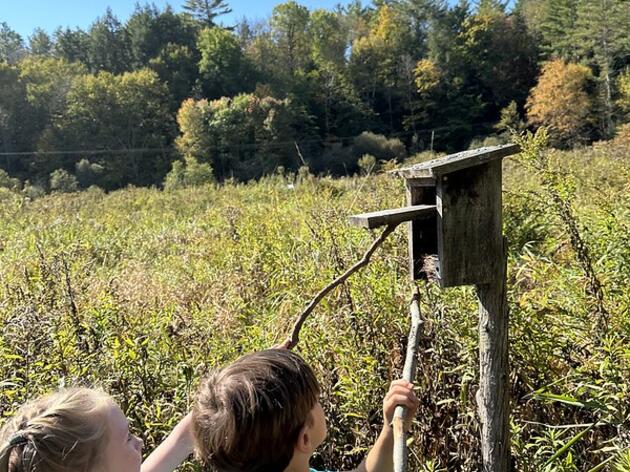 Mushrooms, Newts, Minnows and More!