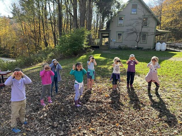 Fall Forest Hikes! 