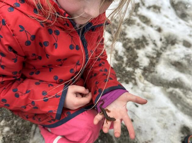 Almost April Showers 