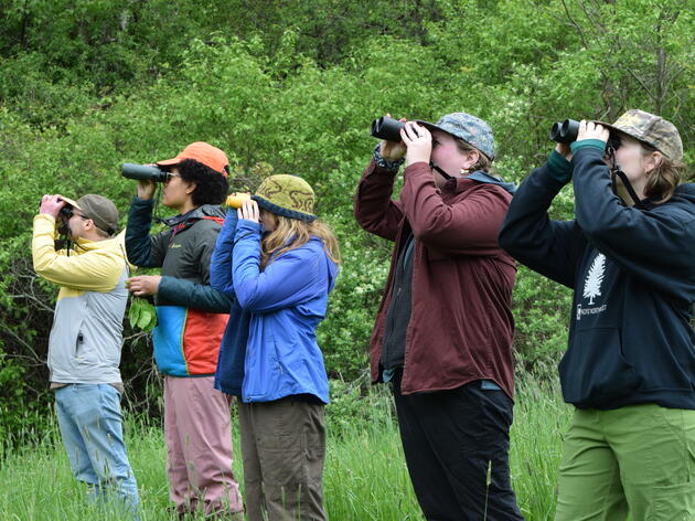 Audubon Staff Birdathon 2025