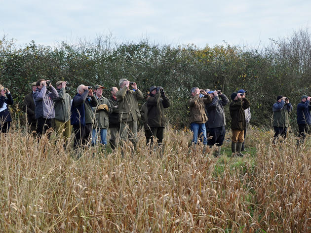 Farmers Take a Staycation to Tally Up Their Flocks
