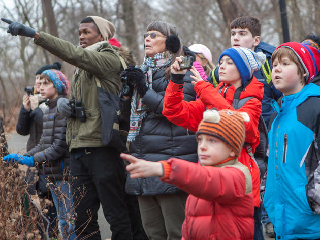 Join the Christmas Bird Count