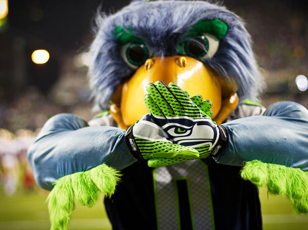 What Is a Seahawk, Anyway?