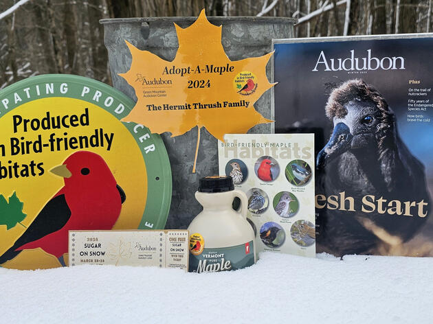 Audubon Vermont Adopt-a-Maple