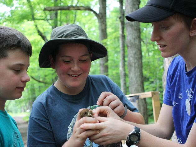 High School Opportunities with Audubon Vermont