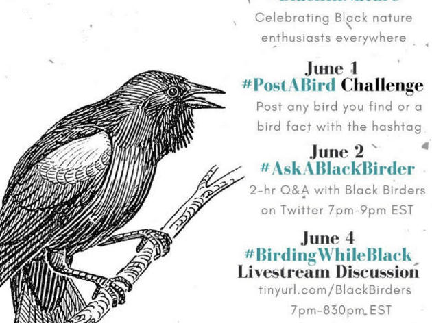 Celebrate #BlackBirdersWeek