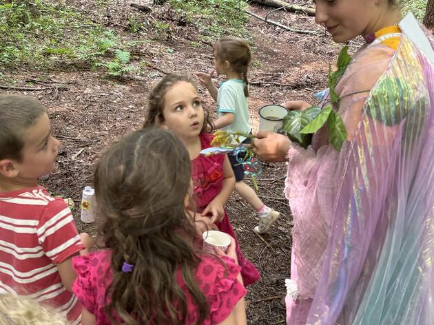 Fairies of Field and Forest