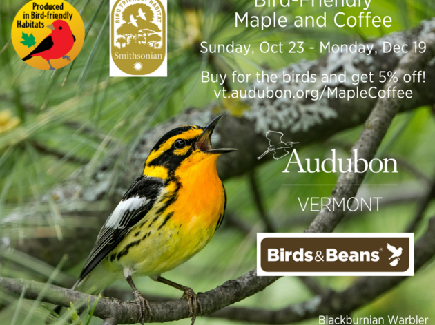 Bird Friendly Maple and Coffee
