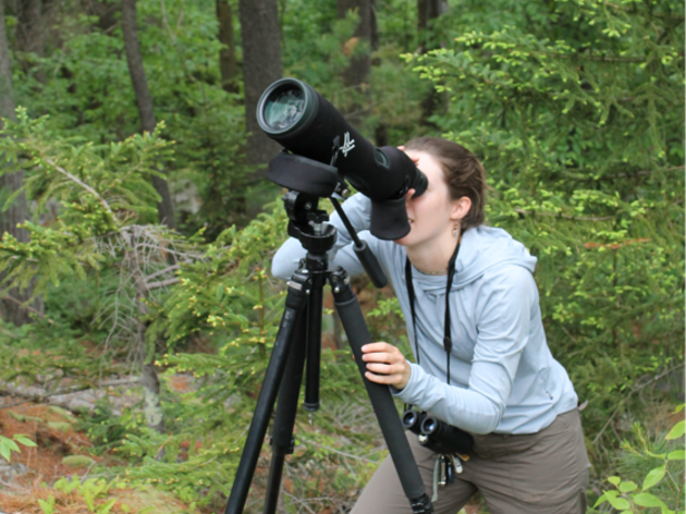 Eyes on the Skies: The Power of Community Science in Raptor Conservation  