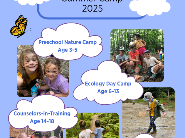 Welcome to summer camp registration 2025!