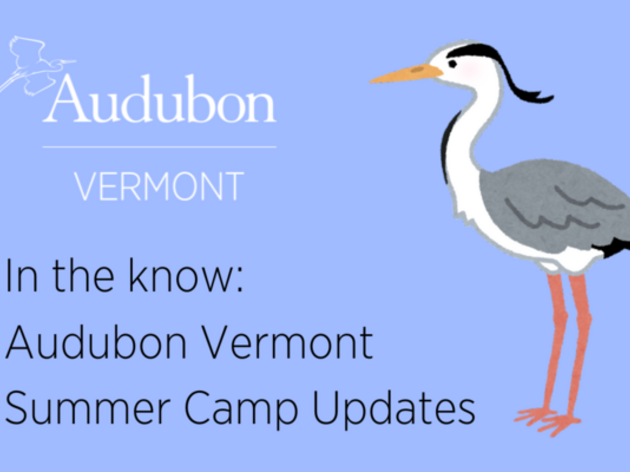 Camp Updates March 7, 2025