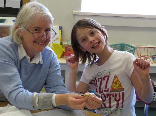 Volunteer Spotlight: Carol Ramsayer