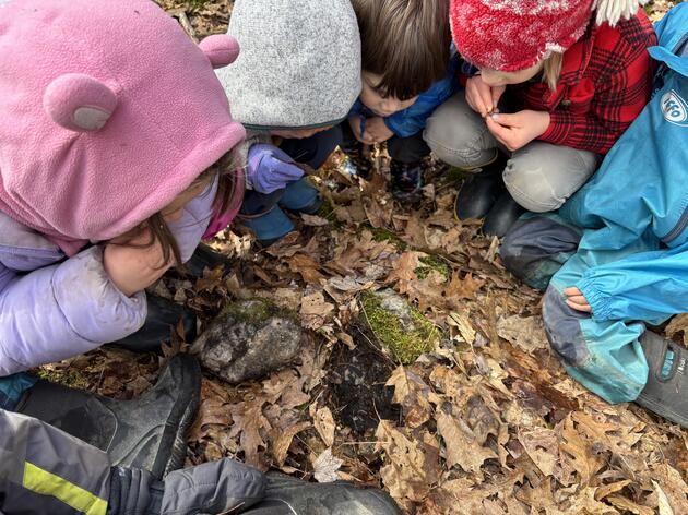 A "Spotted" Salamander