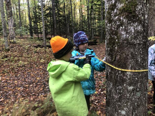 October: Is the Forest Bird Friendly?