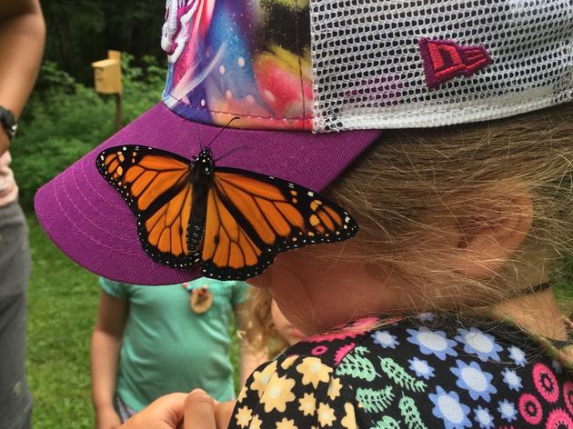Highlights from Pre-K Nature Camp 