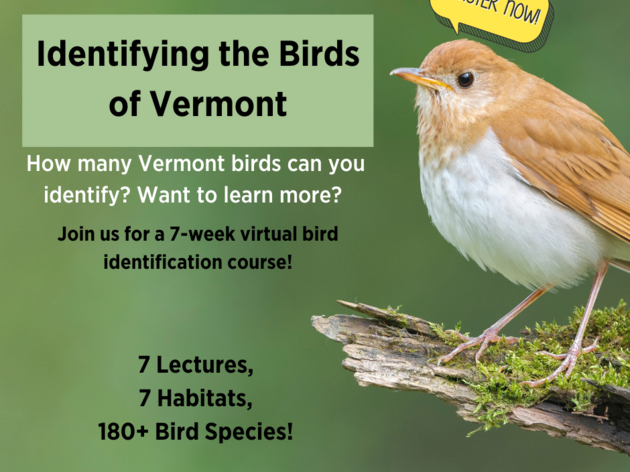 Identifying the Birds of Vermont - A Virtual Course