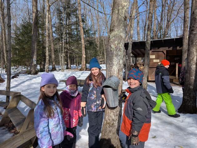 March: Maple from Sap to Syrup