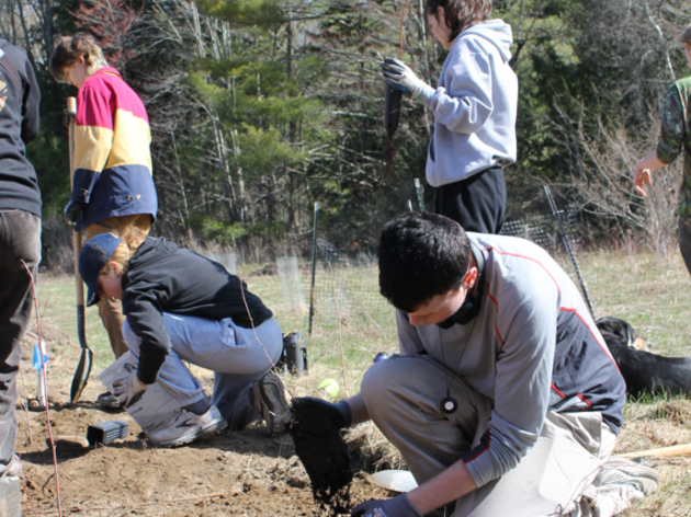 Planting for the Future