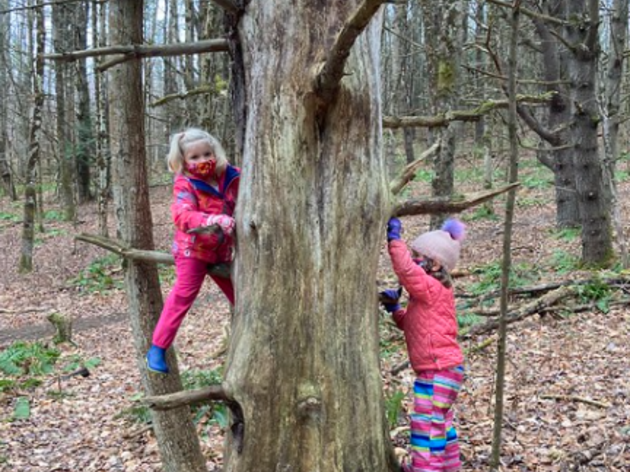 An Abrupt End to Fall Forest Playschool 