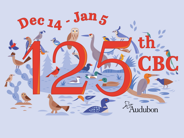 Audubon Christmas Bird Count - Vermont Circles