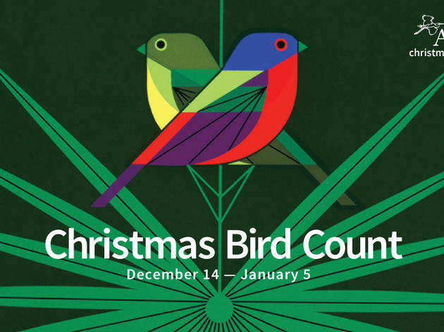 Join the Audubon Christmas Bird Count