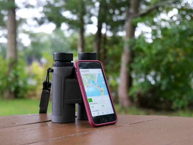A Beginner’s Guide to Using eBird
