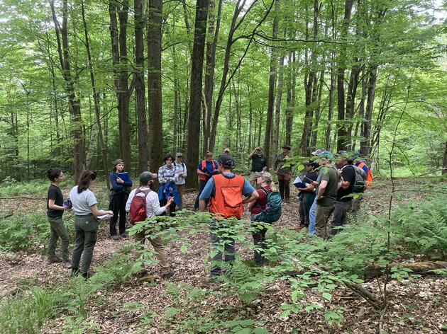 Audubon Forester Training and Endorsement Program