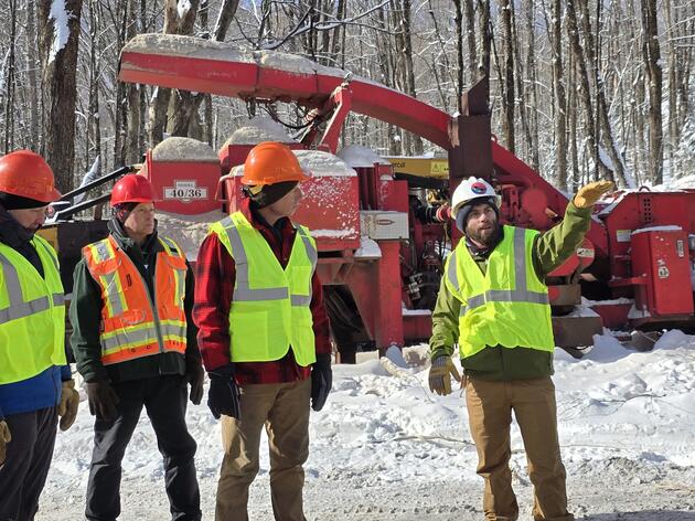 Audubon Vermont Endorsed Forester Directory