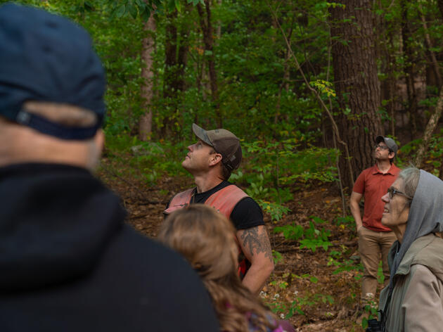 Audubon Endorsed Forester Ethan Tapper Teaches Us How to Love a Forest