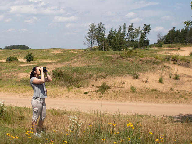 Birding Is the Perfect Activity While Practicing Social Distancing