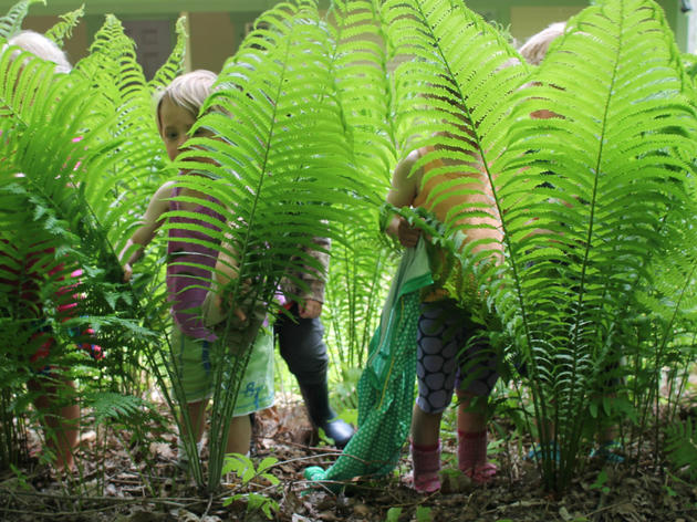 Free Nature Playgroup