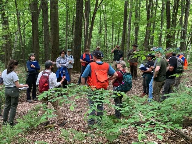 Growing a Network of Bird-Friendly Foresters: Audubon’s Forester Training and Endorsement Program