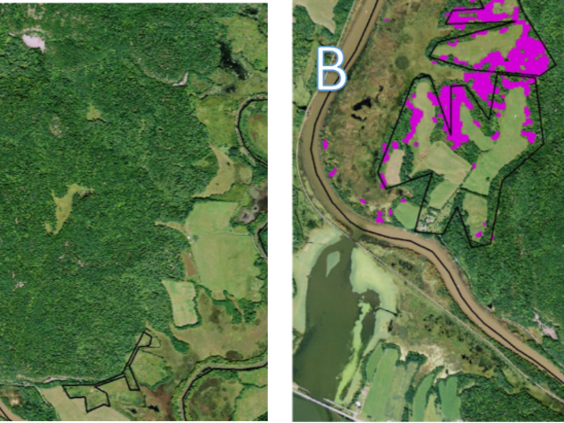 Using ArcGIS to Find Warblers and Share Audubon's Stories