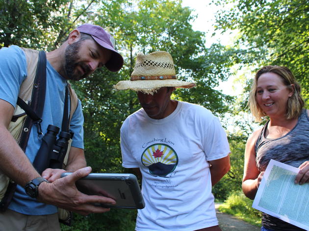 Summer in a Bird-Friendly Maple Sugarbush