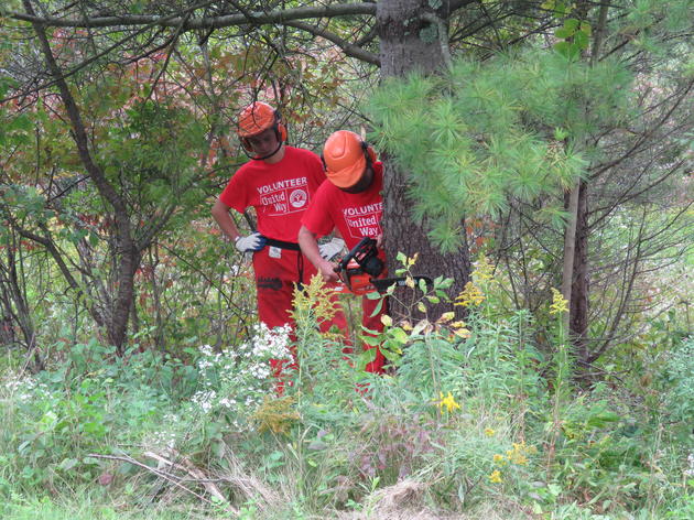 Students Help Create Important Bird Habitat in Middlebury