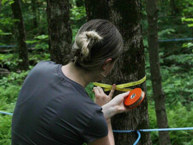 Junior Conservation Technician Program