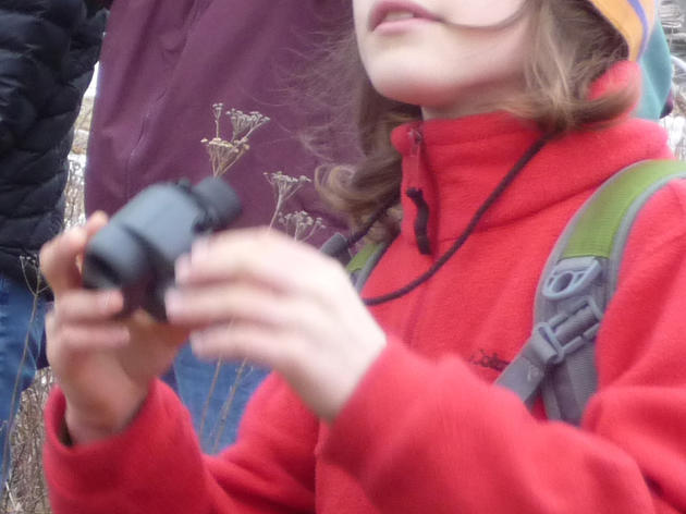 Monthly Bird Monitoring Walks