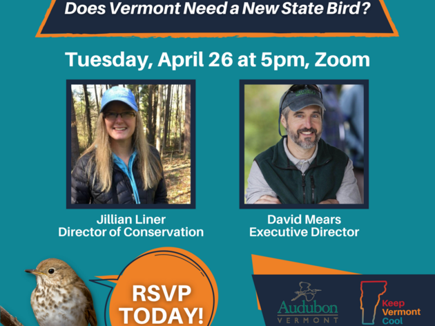 Bird Habitat Chat with Audubon: Does Vermont Need a New State Bird?