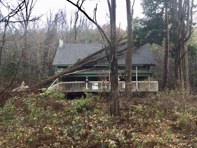 Wind Storm Damages Audubon Trails and Buildings