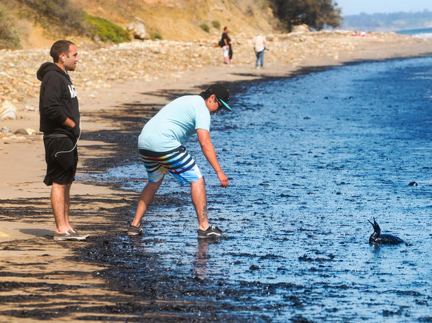Santa Barbara Oil Spill Hits the Coast