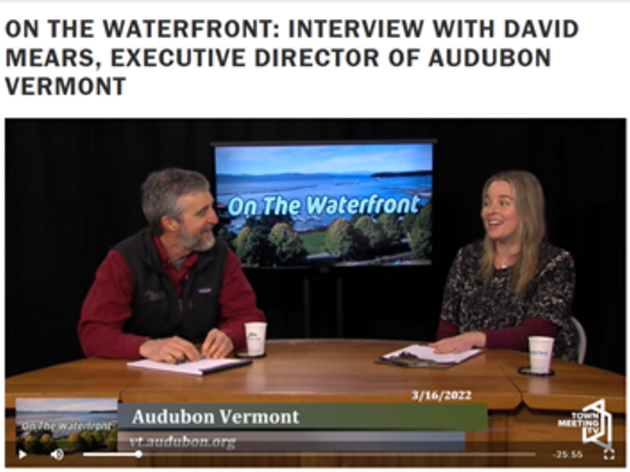 On the Waterfront: Interview with David Mears