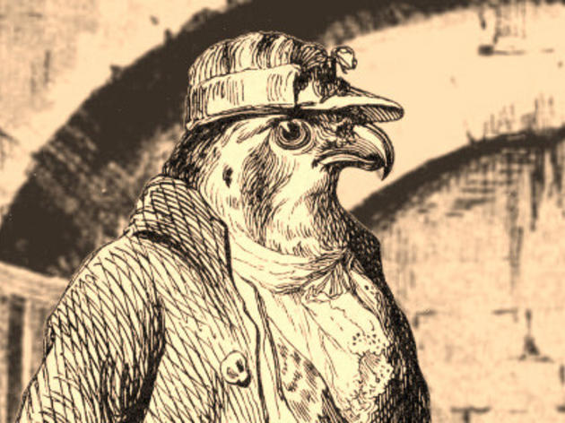 Birds Go to Court In New Video Game