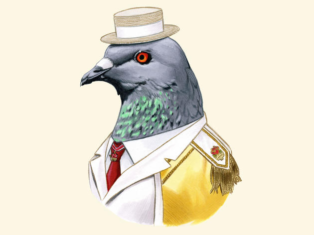 Birds, They’re Just Like Us!