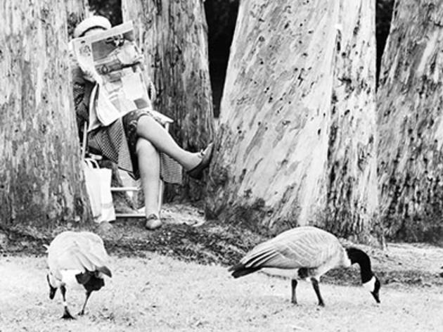 Don’t Feed the Waterfowl