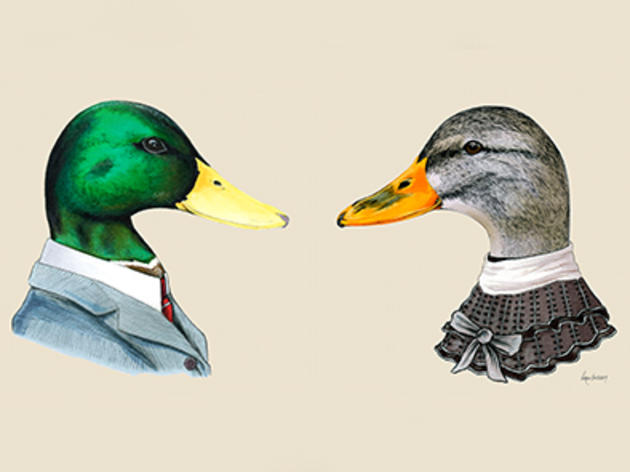 Are Brightly Colored Males Really the Best Mates?